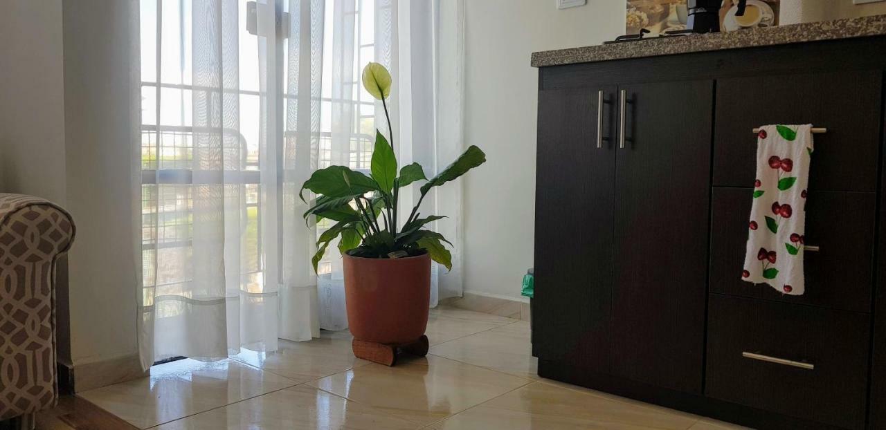 Kalos Meraki Apartasuites Bogotá Extérieur photo